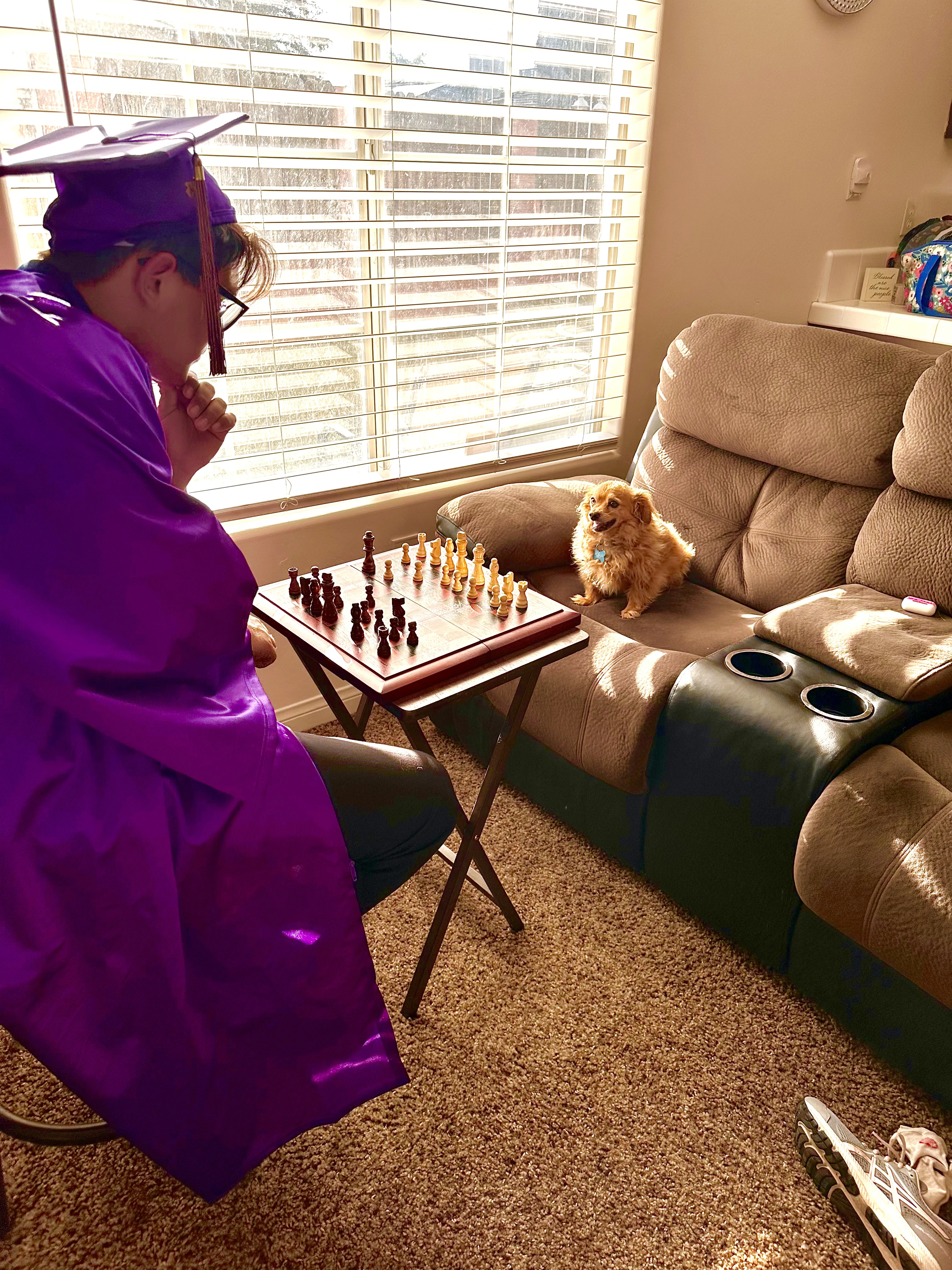 personal photo of me playing a game of chess with my dog
